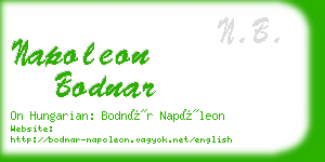 napoleon bodnar business card